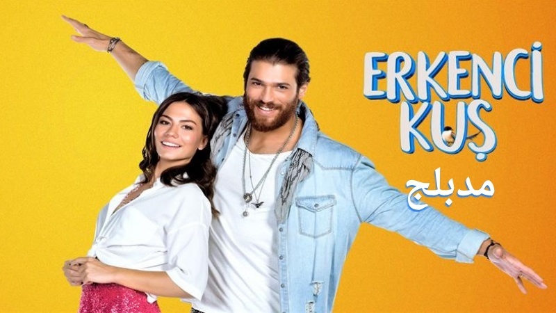مسلسل طائر الصباح (الطائر المبكر) الحلقة 13 الثالثة عشر مدبلج
