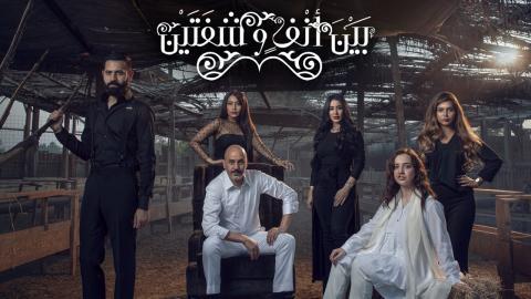 مسلسل بين انف وشفتين الحلقة 5
